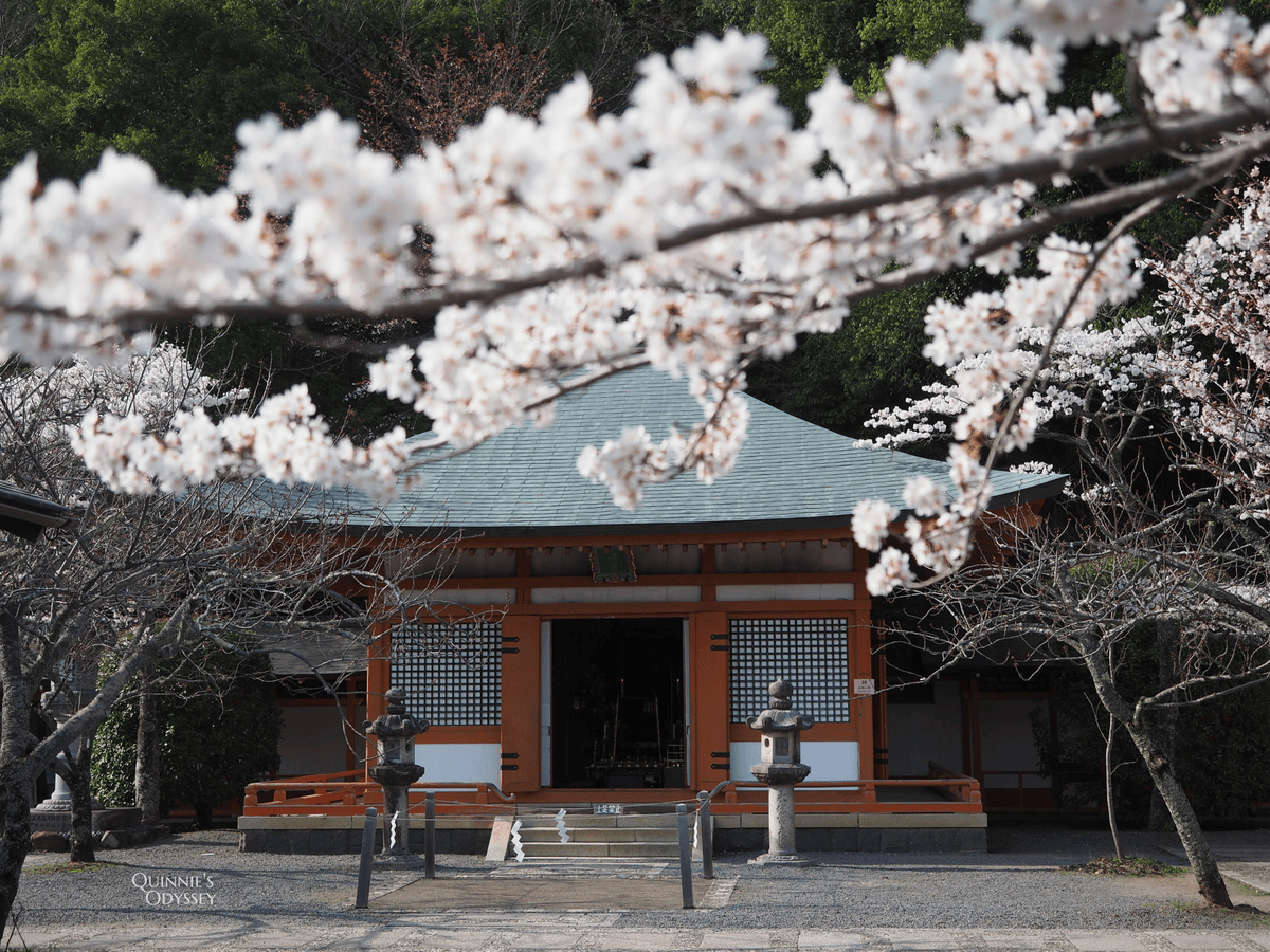 Kurama temple sakura