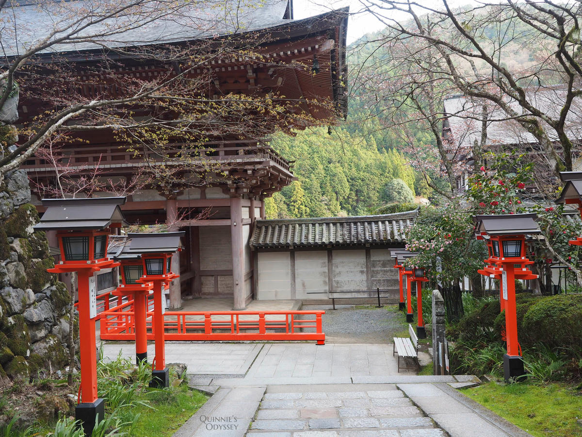 Kurama-dera Complete Guide: Hiking Routes, Cable Car, Tengu Legends & Must-See Spots - 第22張圖 Kurama Kindergarten