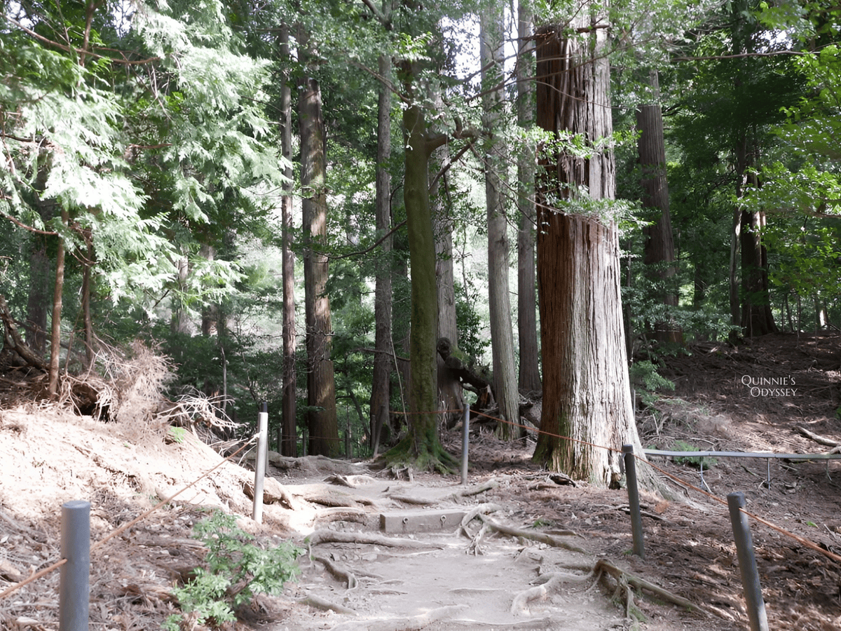 Kurama temple Okunoin trail