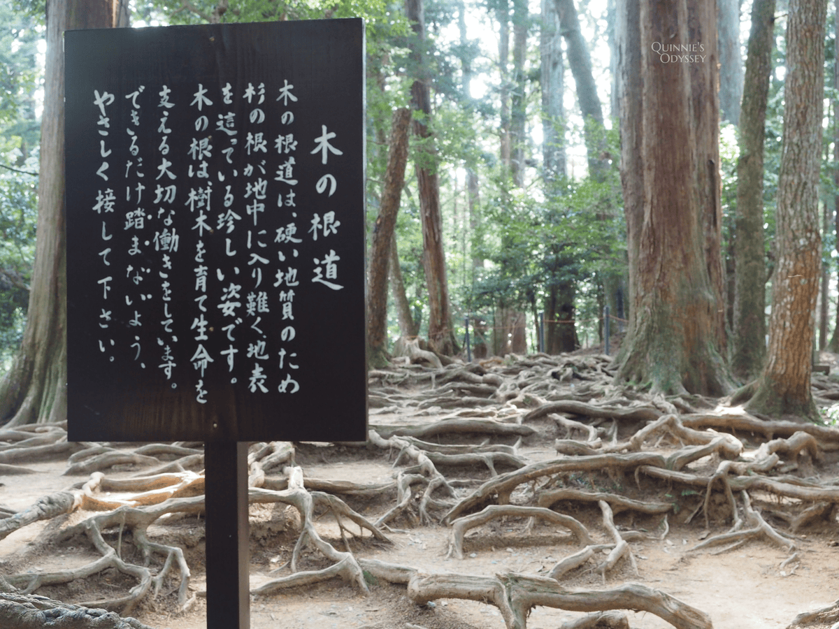 Kurama temple wooden passage
