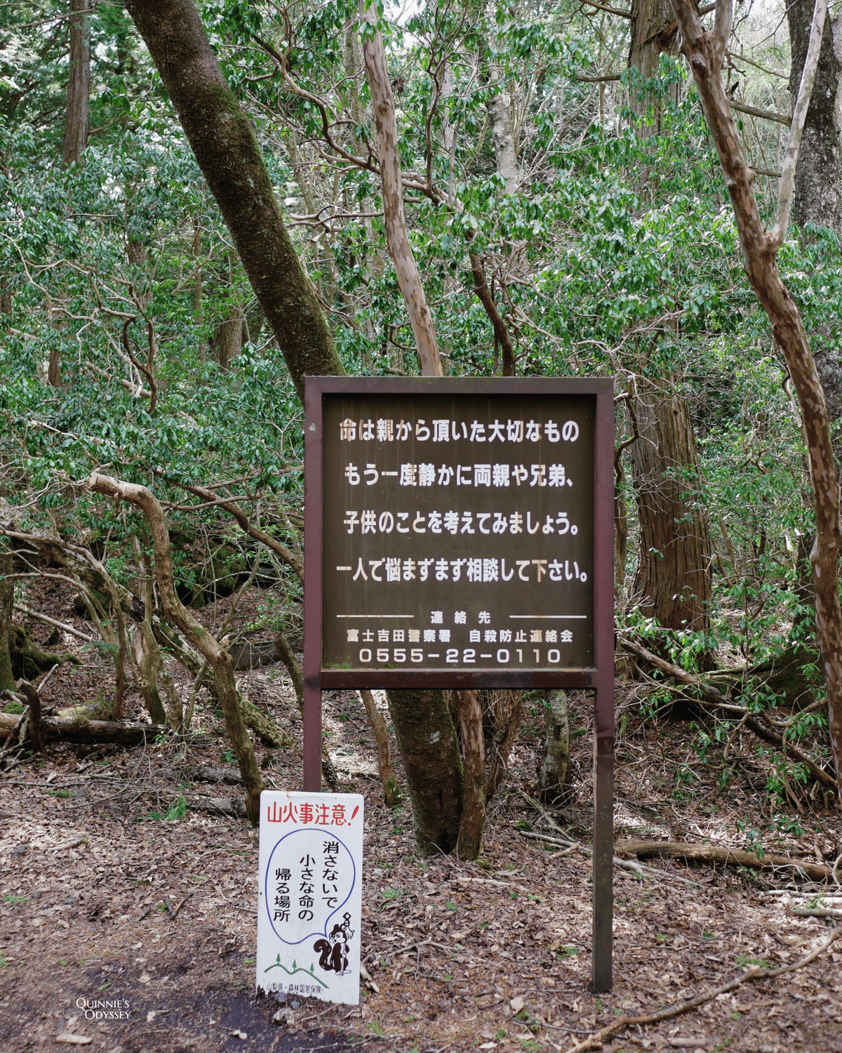Aokigahara warning signs