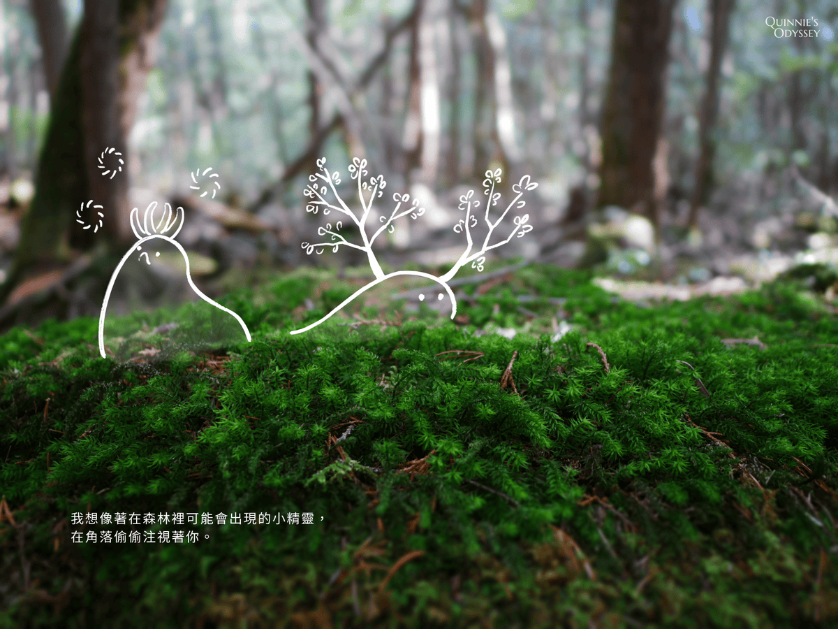 Aokigahara illustration