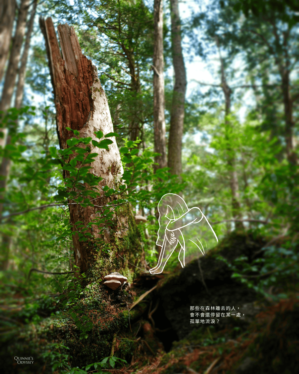 Aokigahara illustration