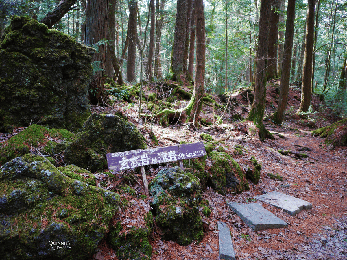 Aokigahara