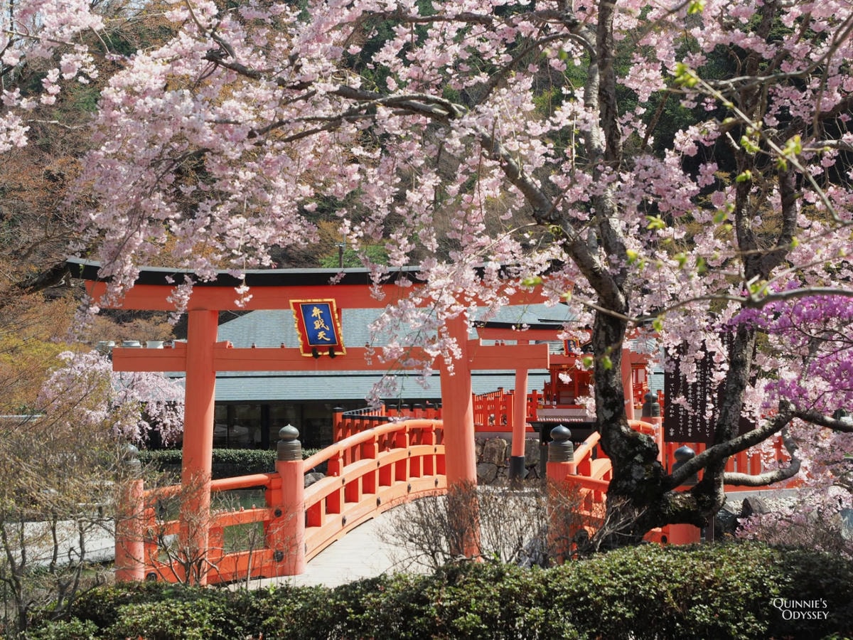 勝尾寺與櫻花