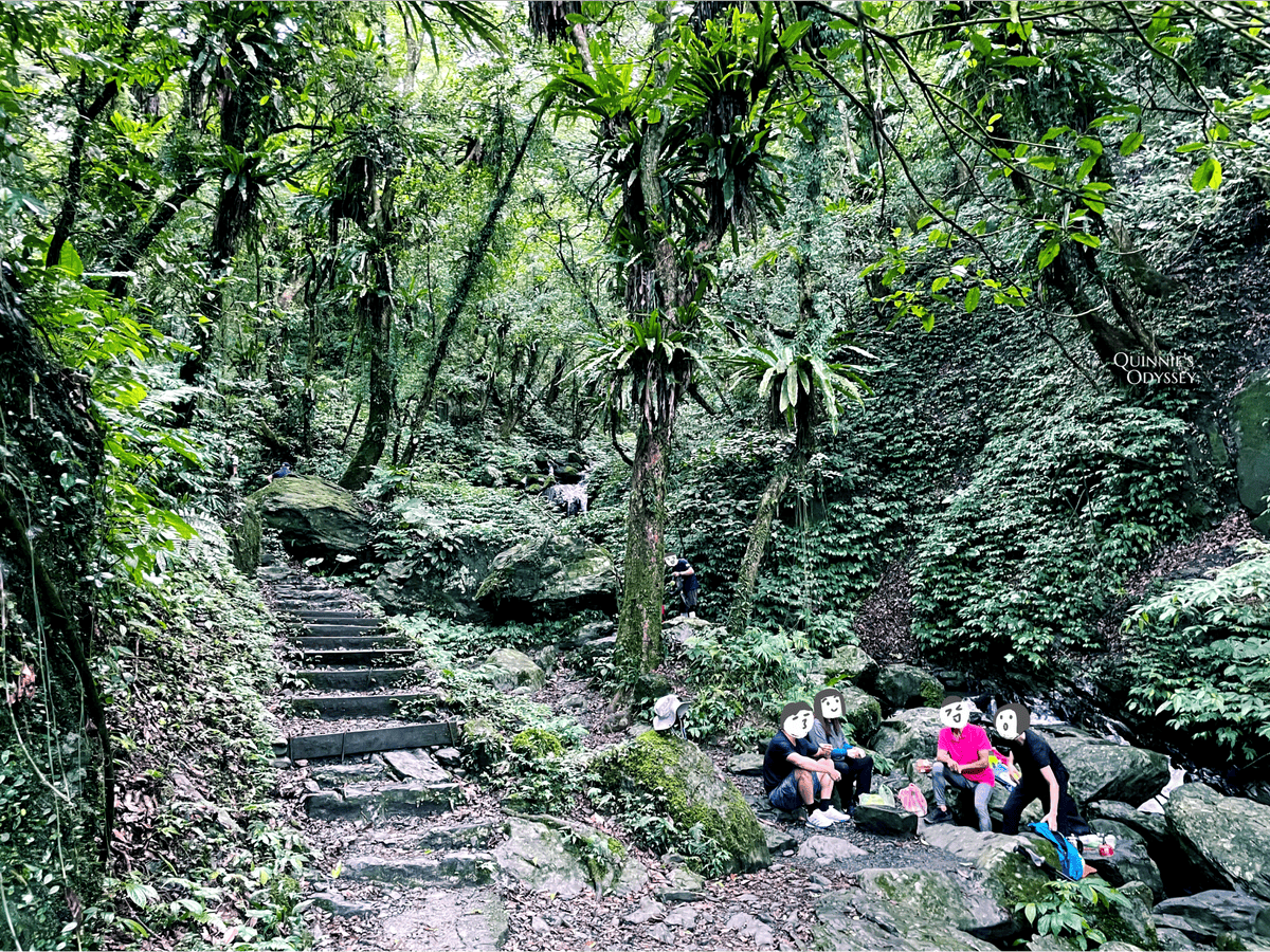 抹茶山、三角崙山:宜蘭礁溪秘境健行日記 - 第22張圖 抹茶山山路