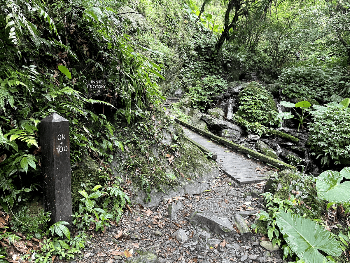 抹茶山、三角崙山:宜蘭礁溪秘境健行日記 - 第23張圖 抹茶山山路