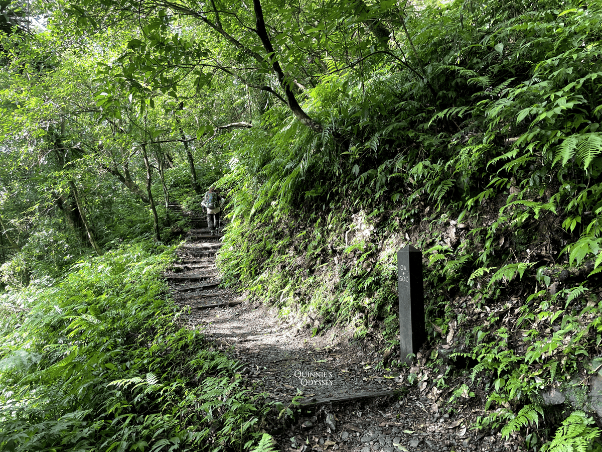 抹茶山、三角崙山:宜蘭礁溪秘境健行日記 - 第25張圖 抹茶山山路