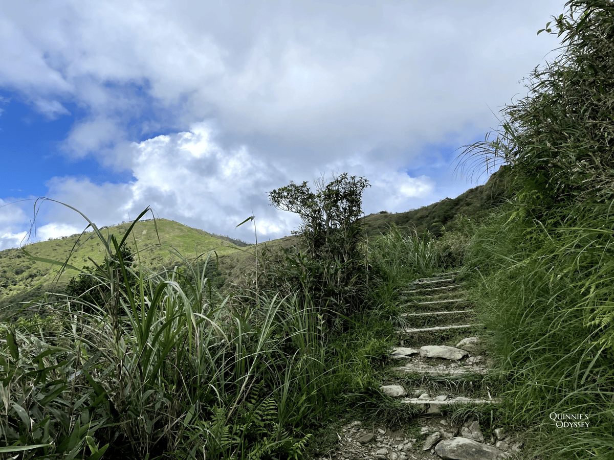 抹茶山、三角崙山:宜蘭礁溪秘境健行日記 - 第26張圖 抹茶山山路