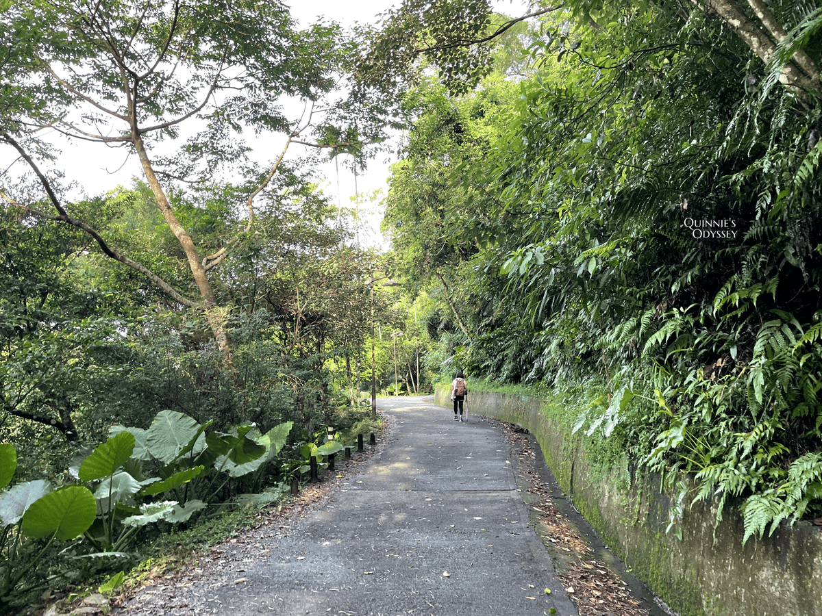 抹茶山、三角崙山:宜蘭礁溪秘境健行日記 - 第7張圖 前往抹茶山山路