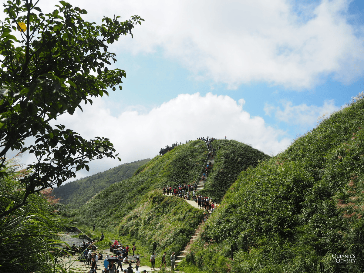 抹茶山、三角崙山:宜蘭礁溪秘境健行日記 - 第28張圖 抹茶山山頂