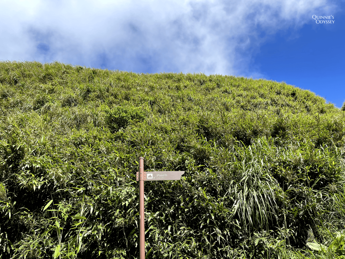 抹茶山、三角崙山:宜蘭礁溪秘境健行日記 - 第38張圖 三角崙山山路