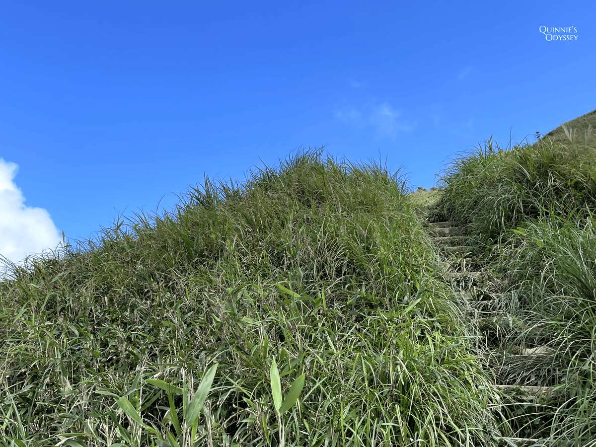 抹茶山、三角崙山:宜蘭礁溪秘境健行日記 - 第39張圖 三角崙山山路