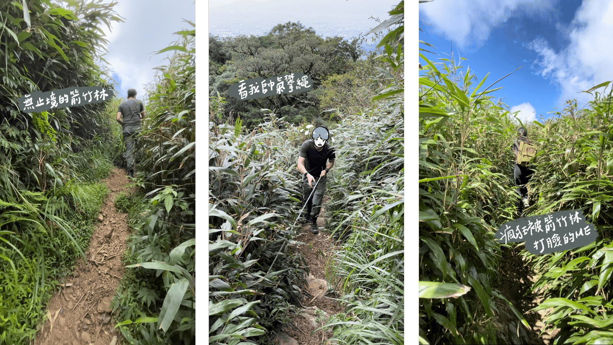 抹茶山、三角崙山:宜蘭礁溪秘境健行日記 - 第42張圖