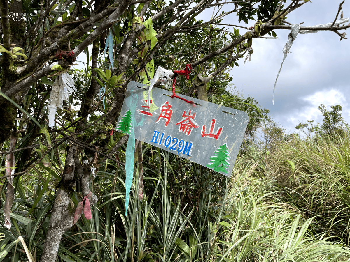抹茶山、三角崙山:宜蘭礁溪秘境健行日記 - 第47張圖