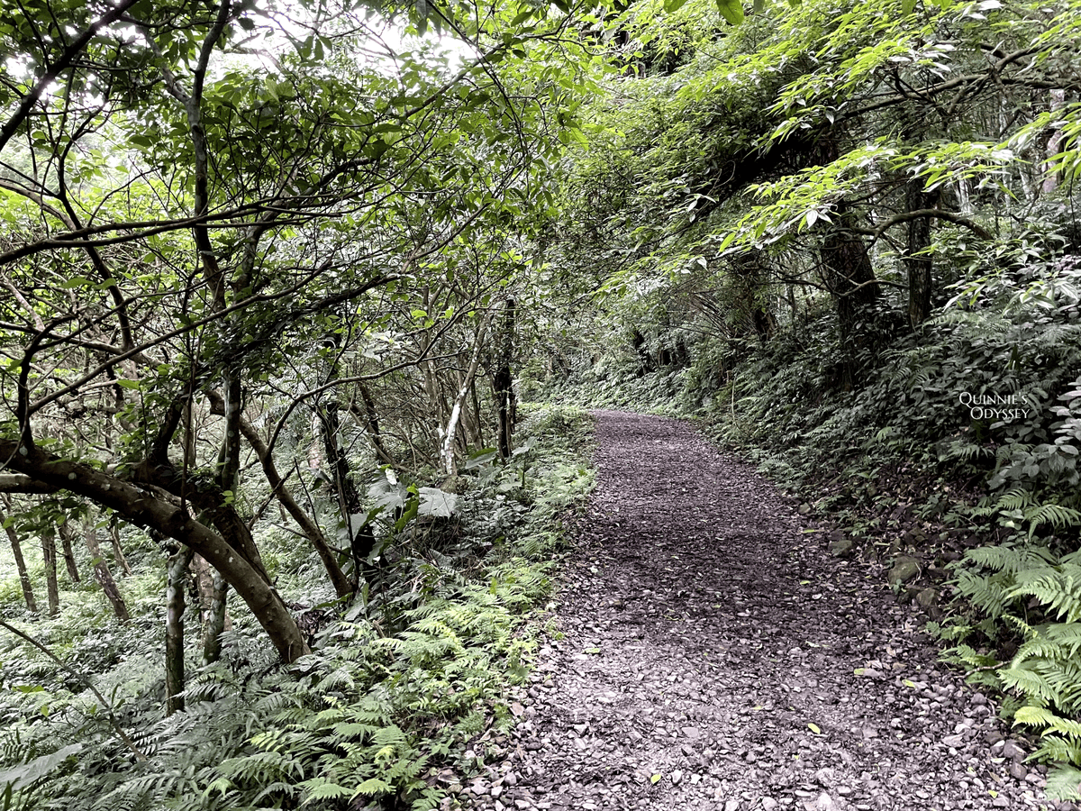 抹茶山、三角崙山:宜蘭礁溪秘境健行日記 - 第15張圖 抹茶山山路