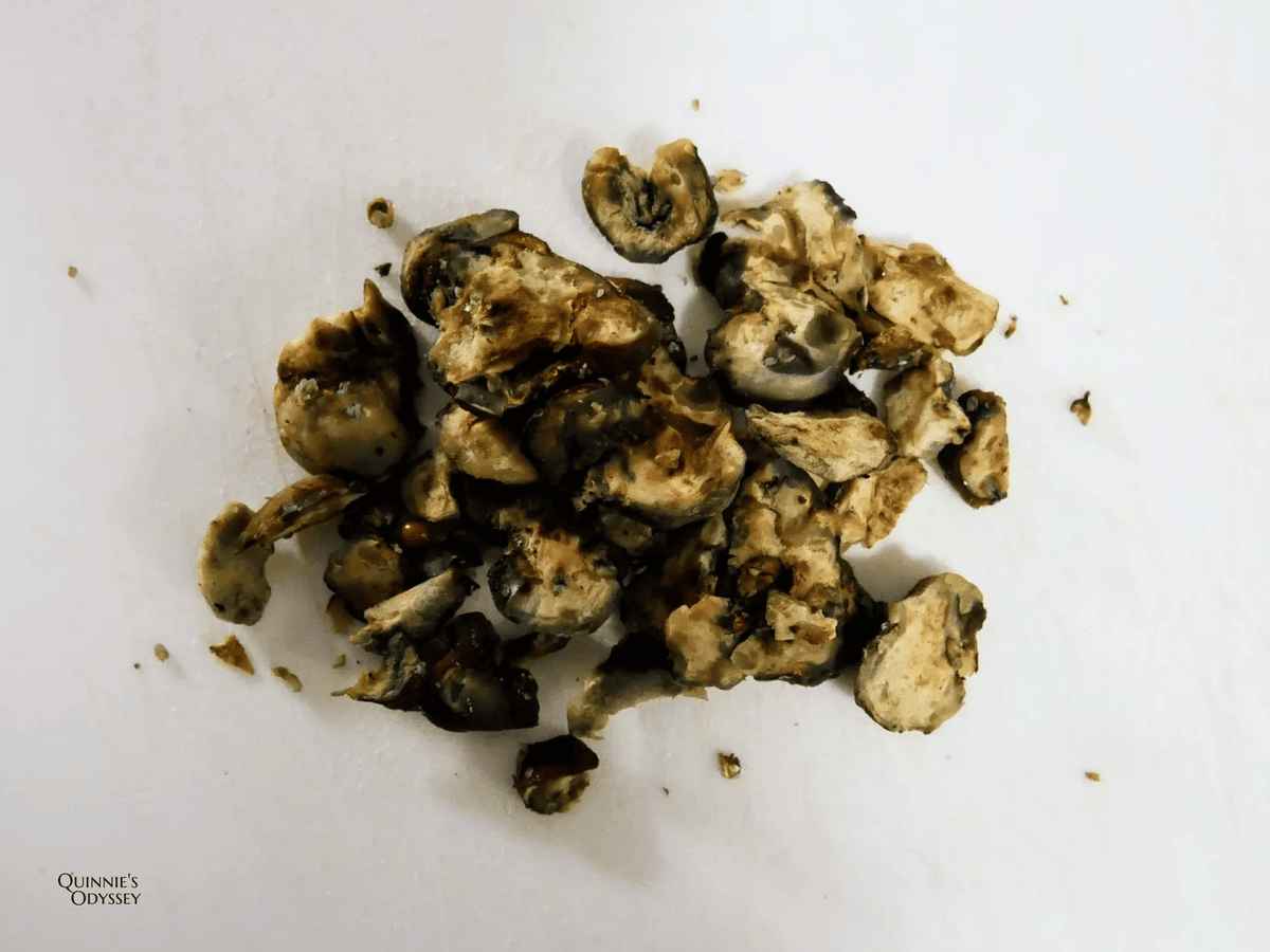 荷蘭迷幻蘑菇體驗心得:讓人想像力爆棚的初體驗 - 第3張圖 迷幻蘑菇