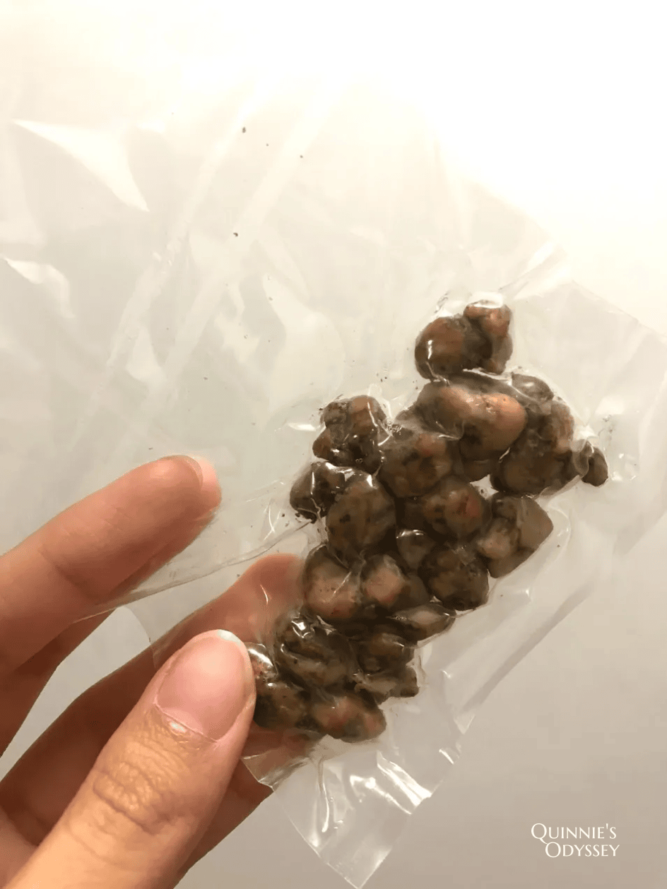 荷蘭迷幻蘑菇體驗心得:讓人瘋狂的迷幻蘑菇第二次體驗 - 第3張圖 迷幻蘑菇