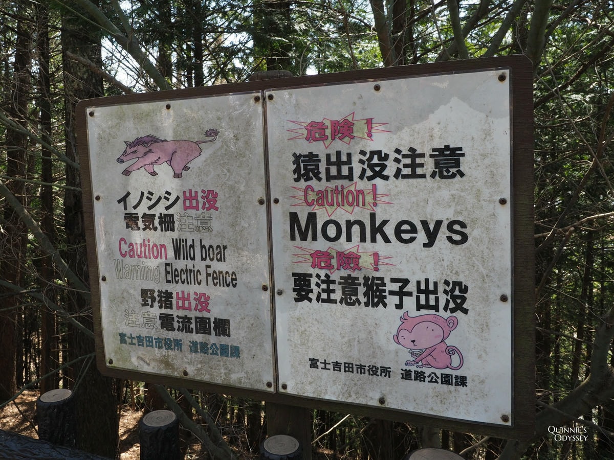 富士山熱門景點:新倉富士淺間神社-忠靈塔與富士山的絕美景致 - 第9張圖 熊、猴子、野豬出沒