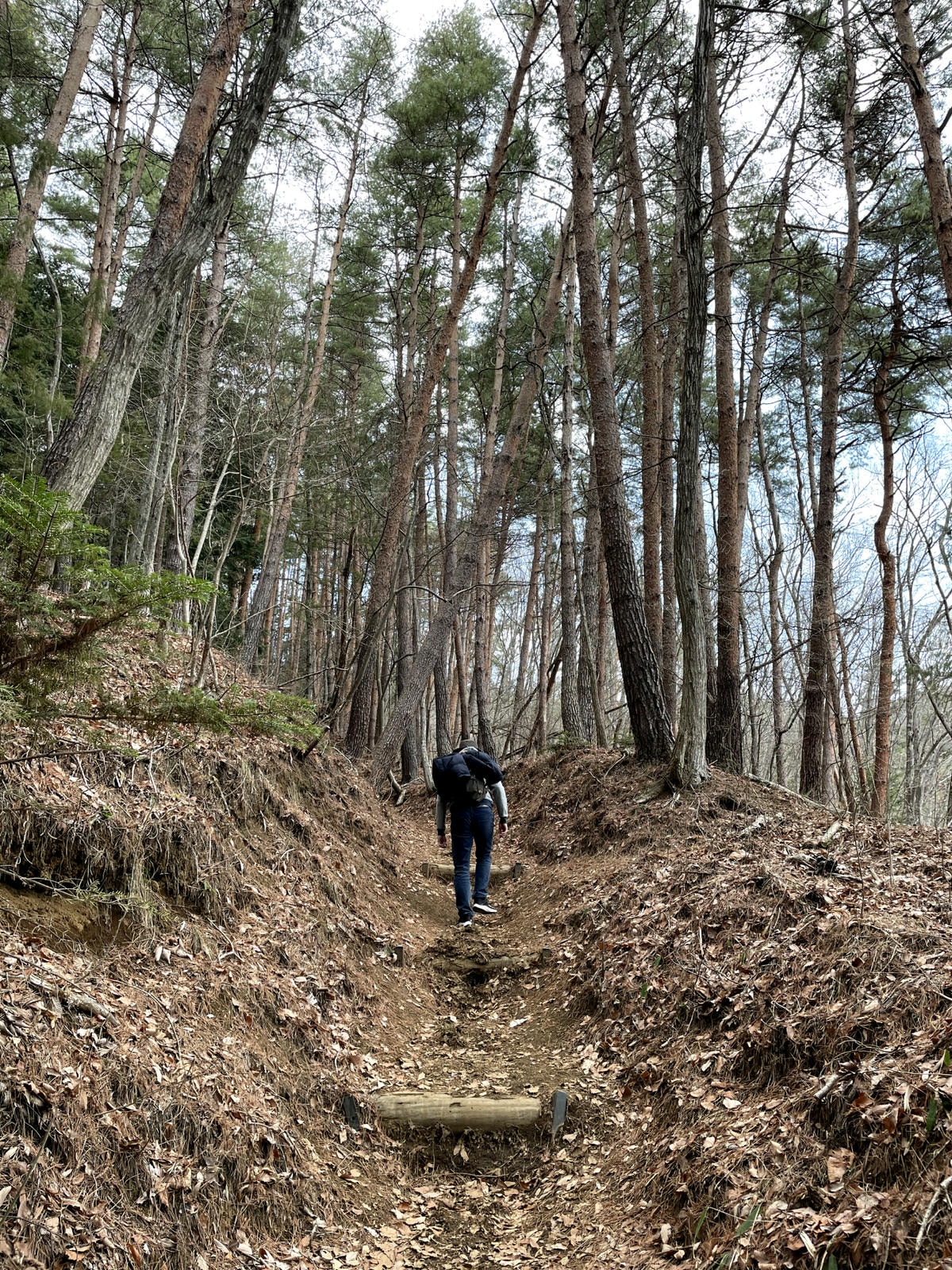 河口淺間神社山路