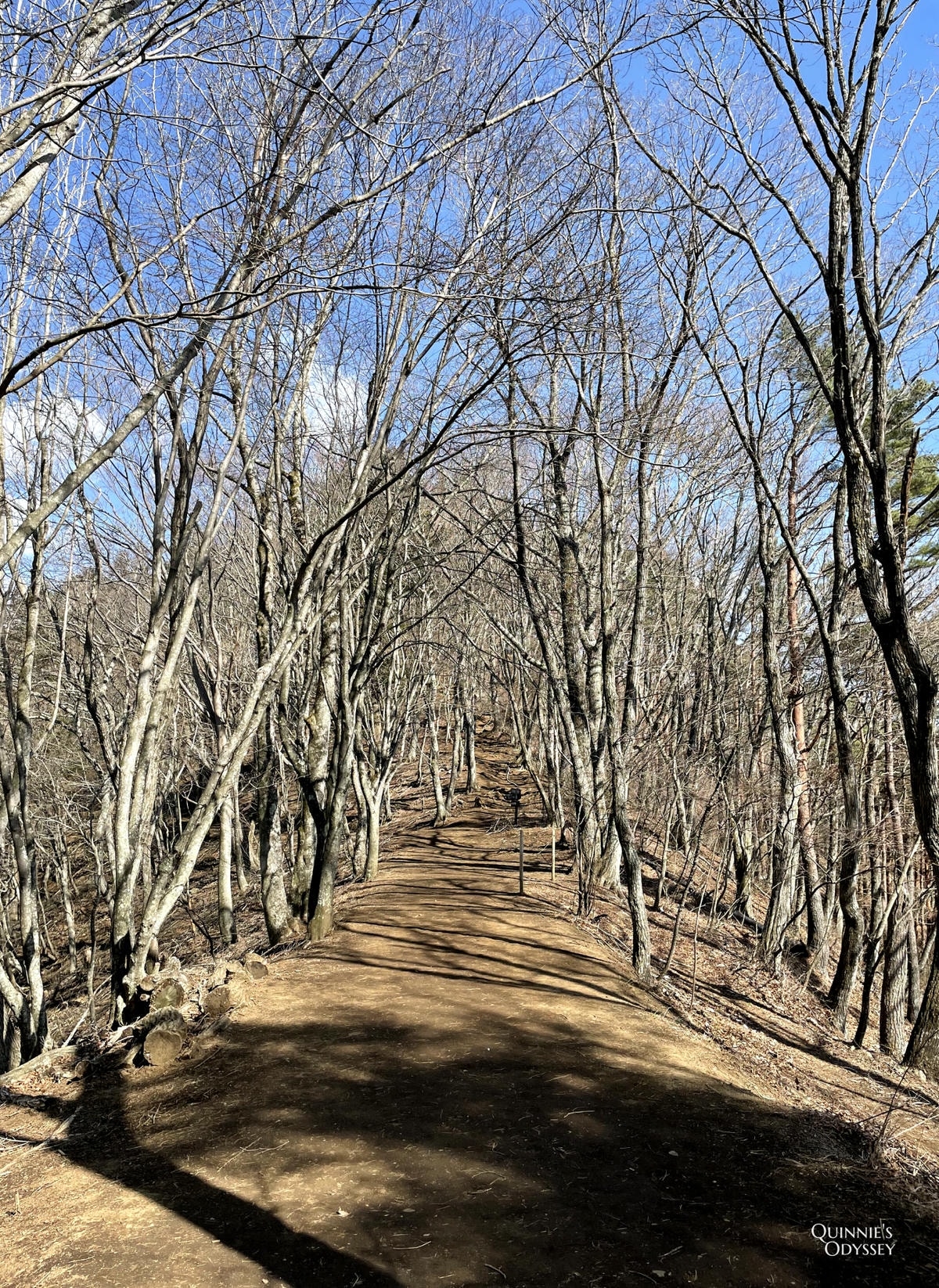 河口湖天上山公園，小御嶽神社