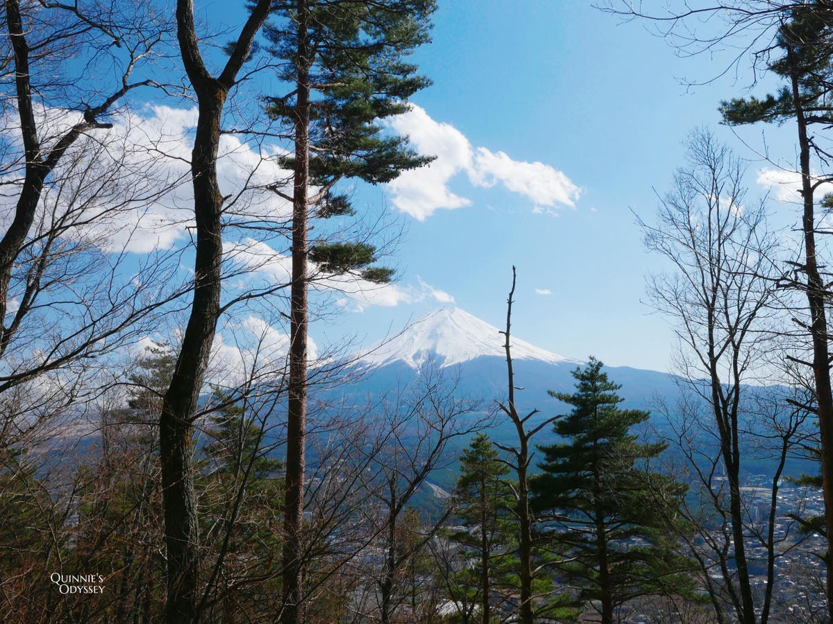 河口湖天上山公園 富士山