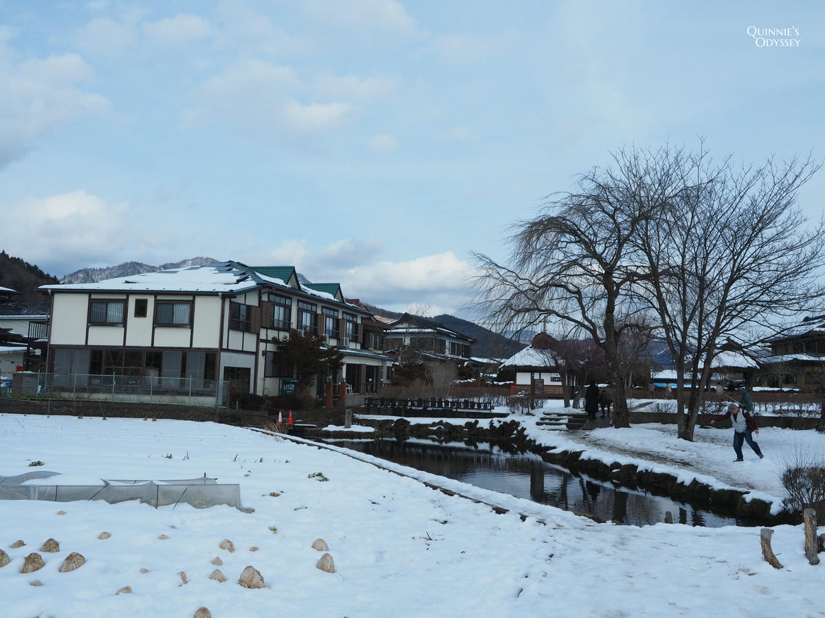 富士山必去周邊景點:I人的旅遊心得分享 - 第14張圖 忍野八海下雪