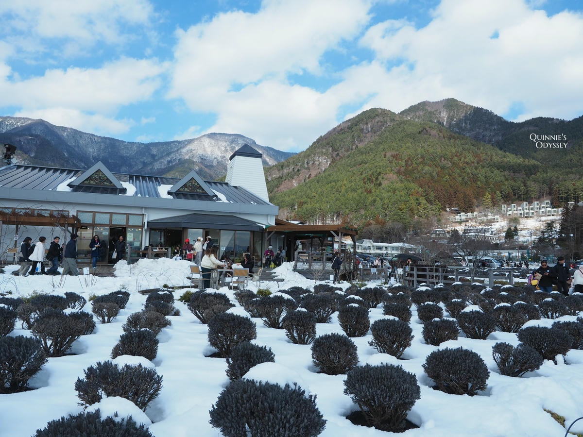 富士山必去周邊景點:I人的旅遊心得分享 - 第13張圖 大石公園