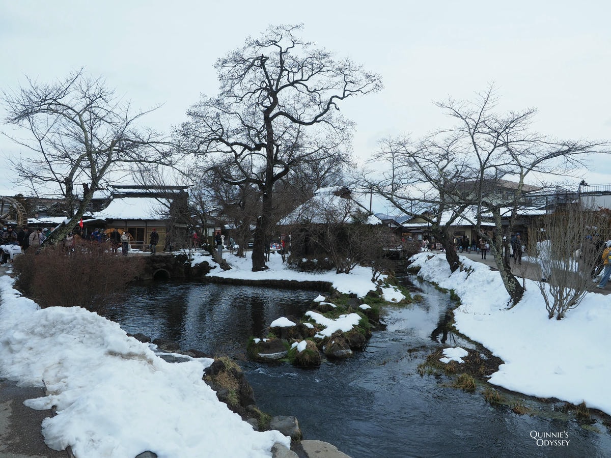 富士山必去周邊景點:I人的旅遊心得分享 - 第16張圖 忍野八海下雪