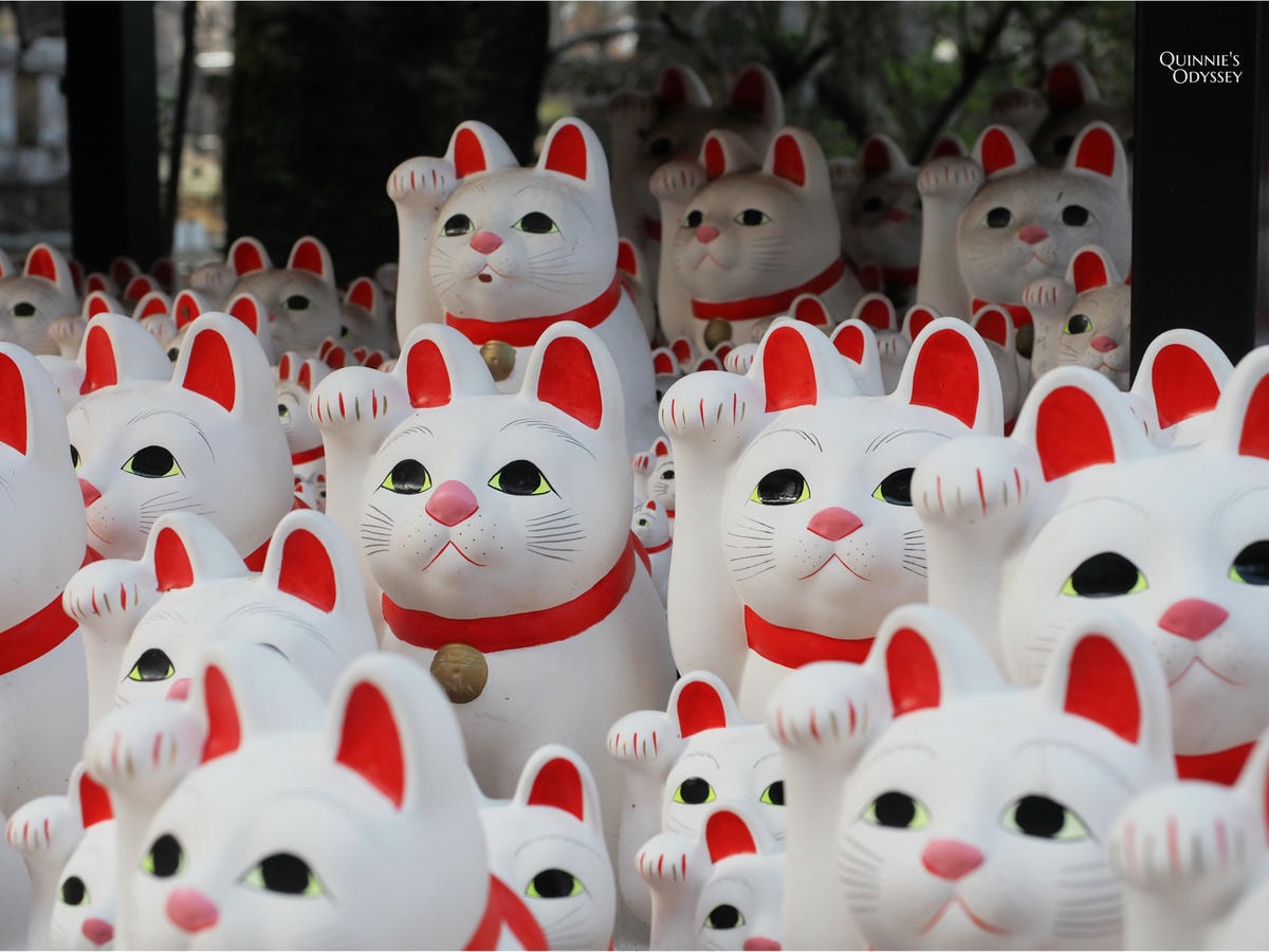 東京-貓/狗/狐狸/狸貓/河童-7間特色動物神社推薦 - 第3張圖 豪得寺招福貓
