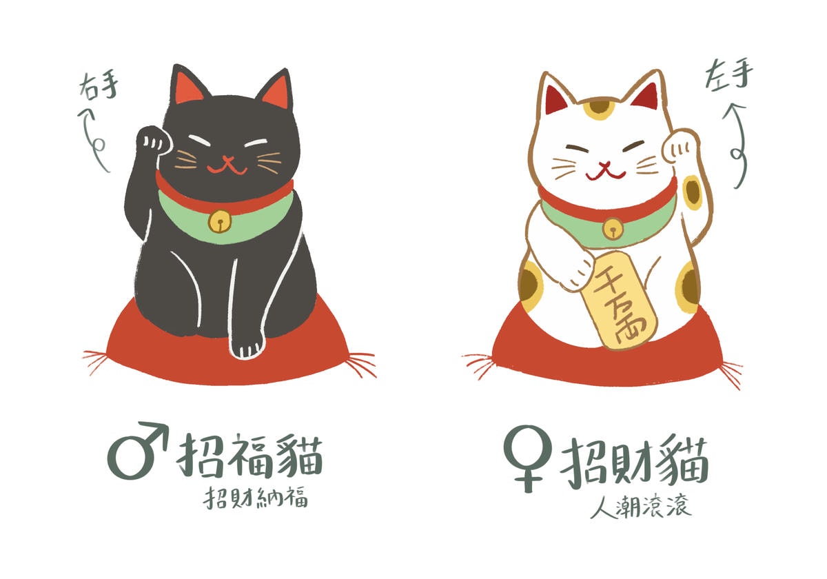 招福貓招財貓插畫