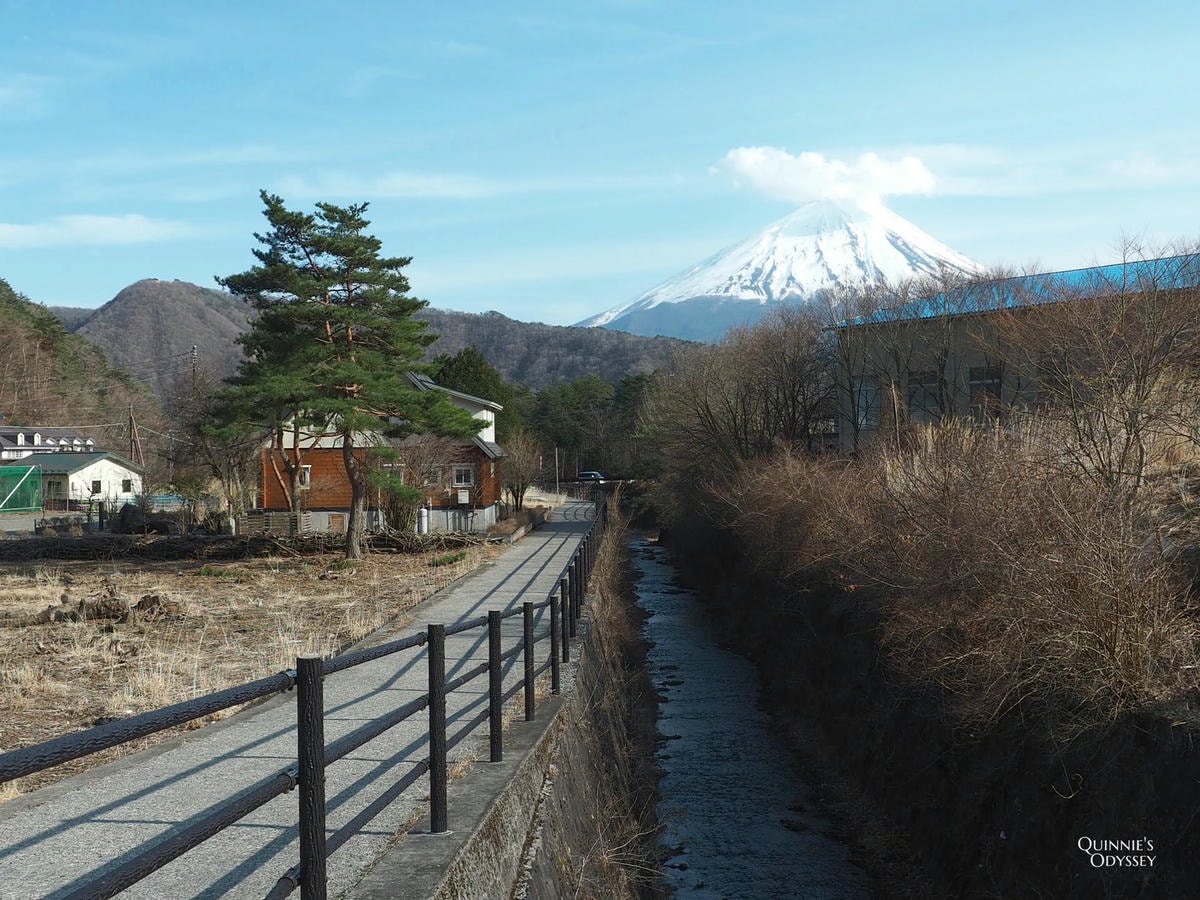 富士山下的合掌村:西湖療癒之里根場 - 第3張圖 西湖療癒之里根場