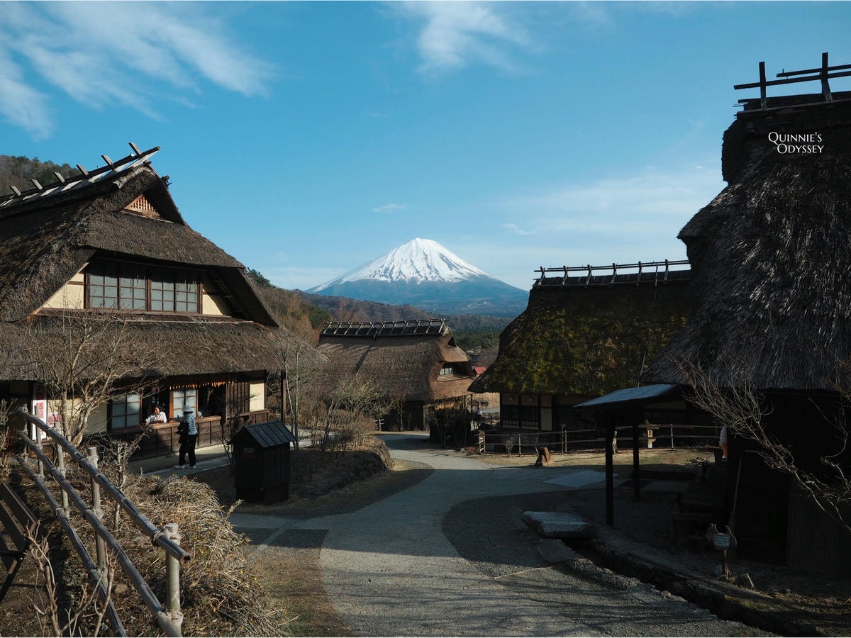 富士山必去周邊景點:I人的旅遊心得分享 - 第22張圖 西湖療癒之里根場