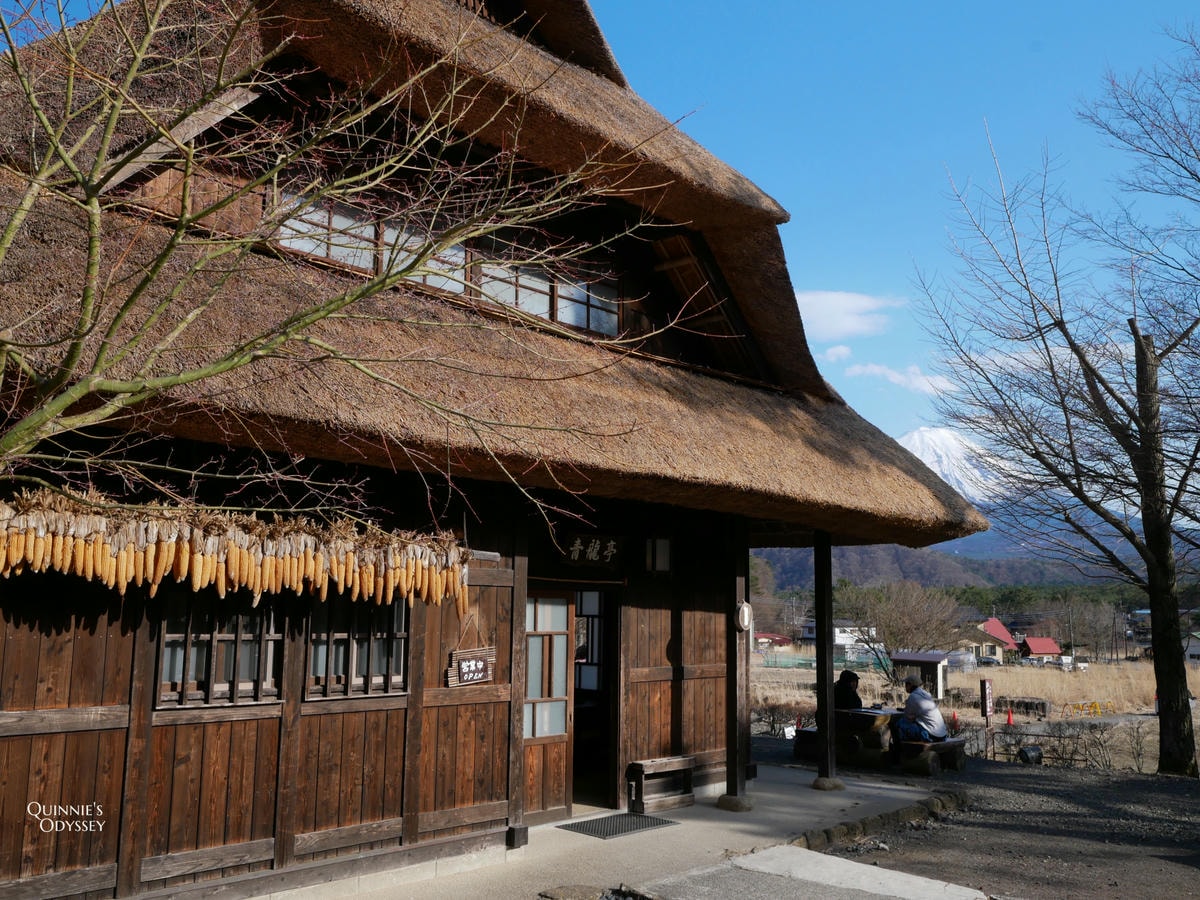 富士山下的合掌村:西湖療癒之里根場 - 第8張圖 西湖療癒之里根場