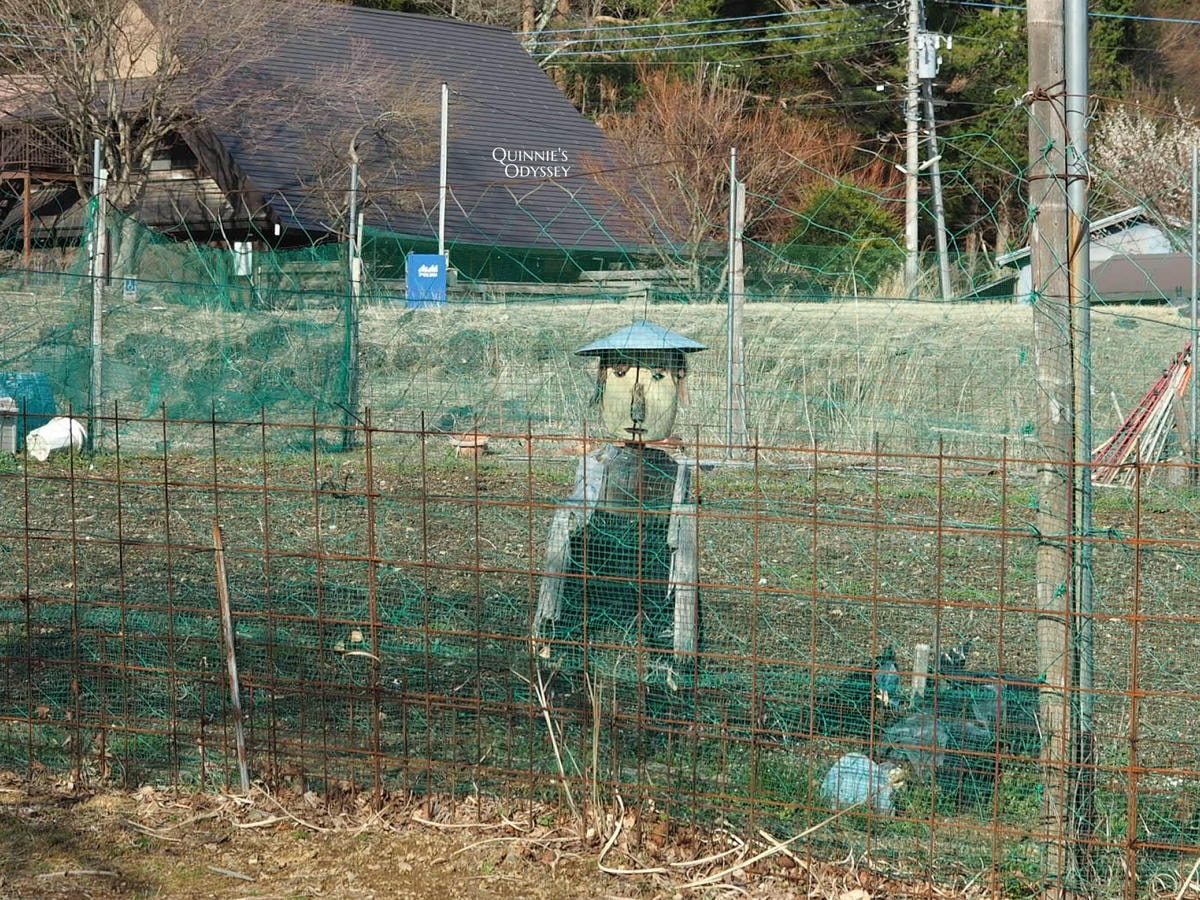 富士山下的合掌村:西湖療癒之里根場 - 第5張圖 西湖療癒之里根場