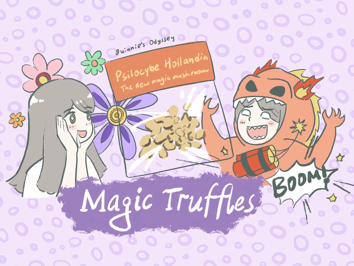 Truffle1 cover