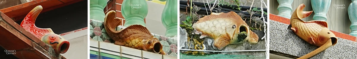 金門珠山聚落住宿推薦:入住百年古厝 珠山娜一家 - 第17張圖 金門 出水口 魚