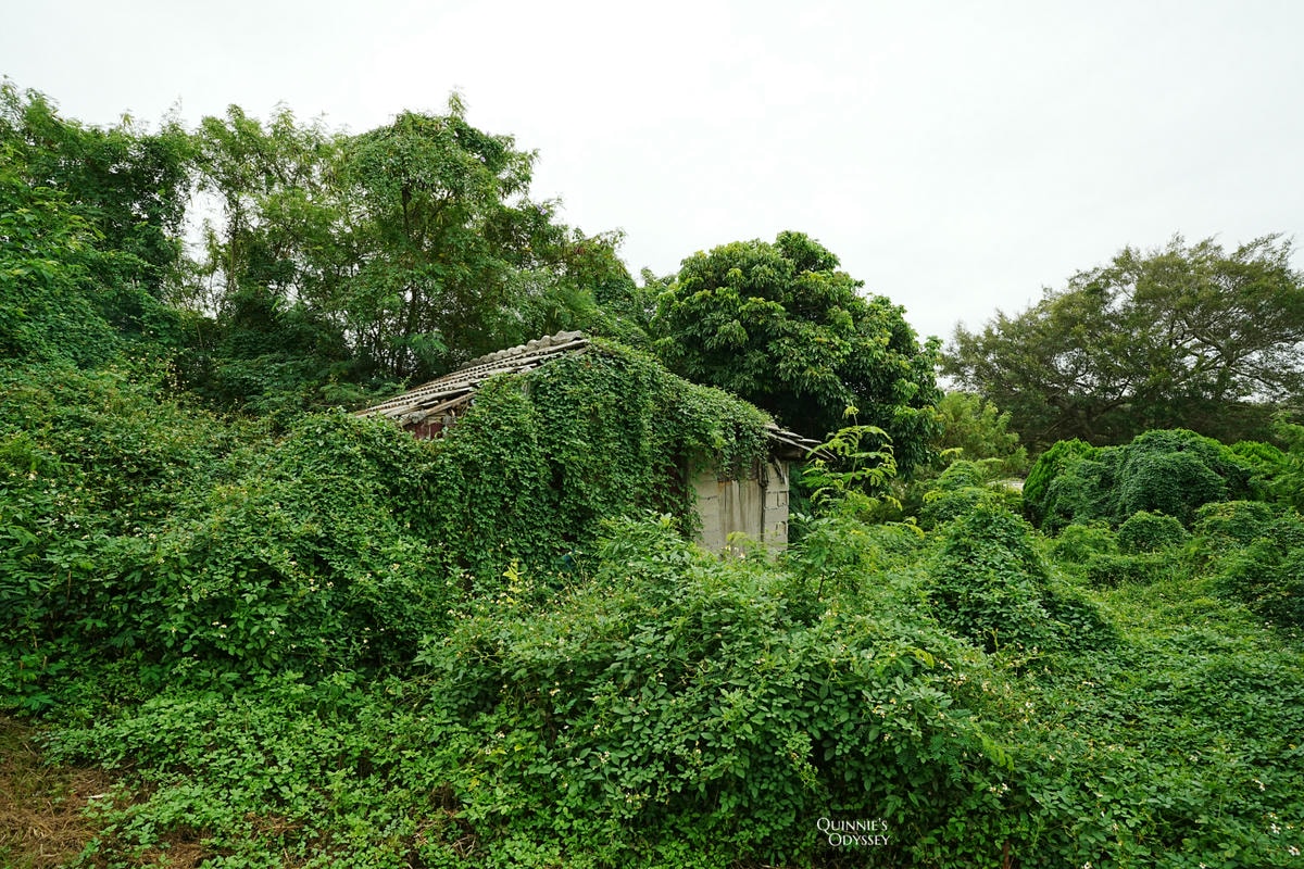 金門自由行旅遊景點推薦:古厝洋樓、軍事遺址與自然景點行程攻略 - 第6張圖