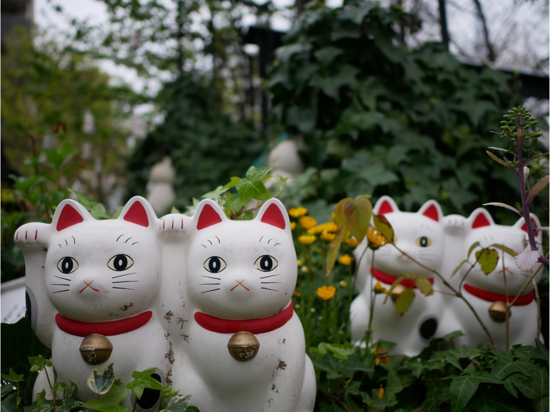 東京-貓/狗/狐狸/狸貓/河童-7間特色動物神社推薦 - 第7張圖 東京 今戶神社