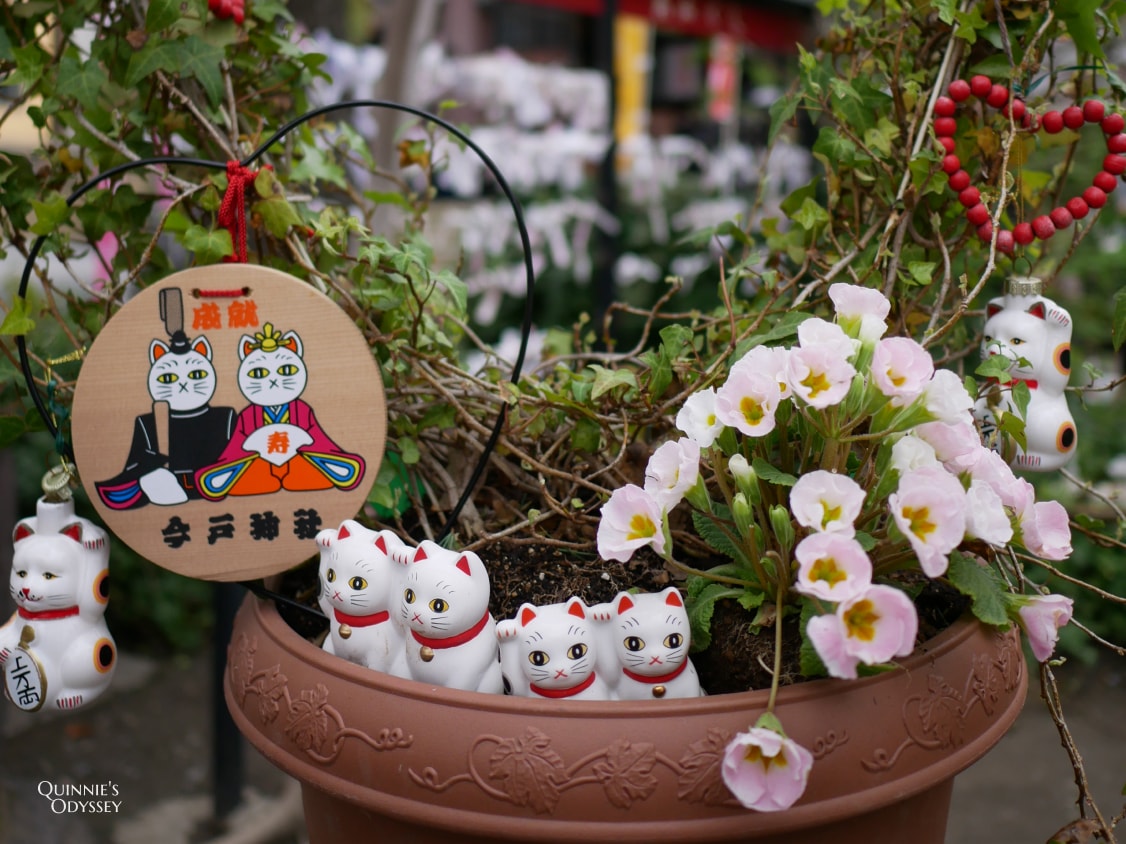 東京-貓/狗/狐狸/狸貓/河童-7間特色動物神社推薦 - 第9張圖 東京 今戶神社