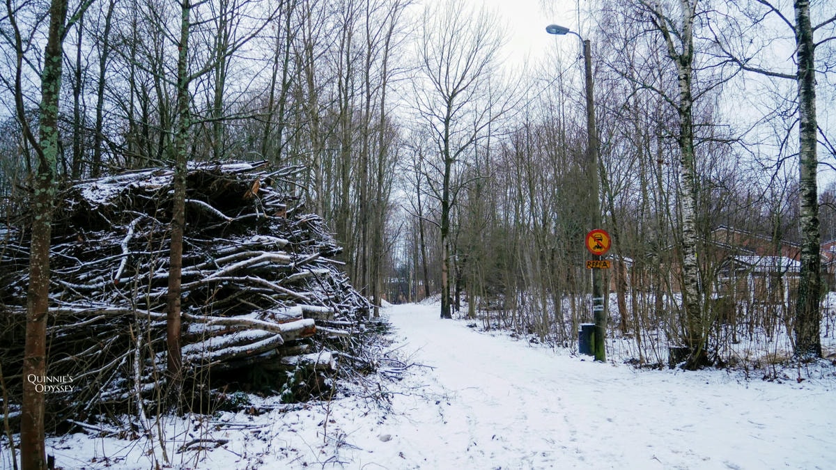赫爾辛基 下雪