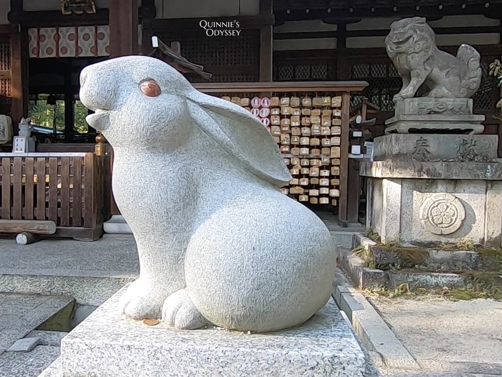 京都7間動物神社推薦:不能錯過的可愛動物御神籤! - 第9張圖 岡崎神社 兔子