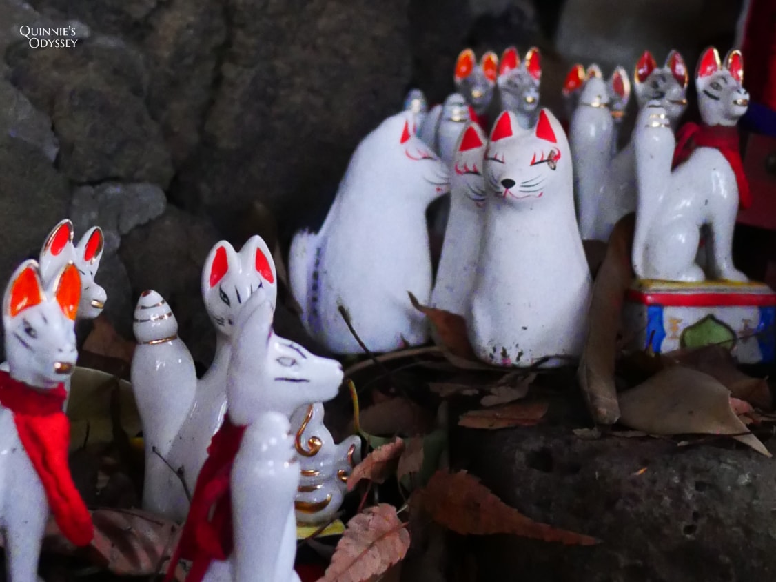 東京神社推薦:王子稻荷神社與神秘的狐狸傳說 - 第9張圖 東京王子稻荷神社 狐狸穴跡