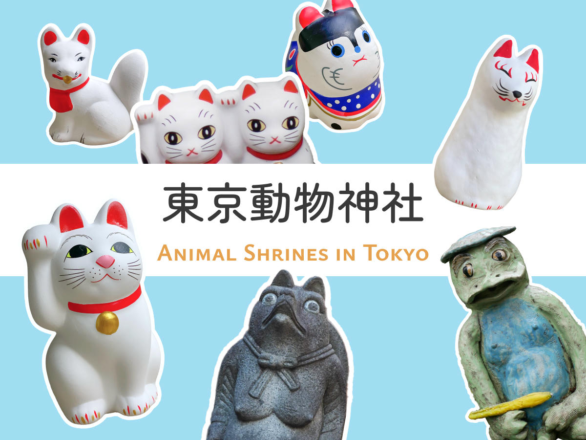 東京-貓/狗/狐狸/狸貓/河童-7間特色動物神社推薦