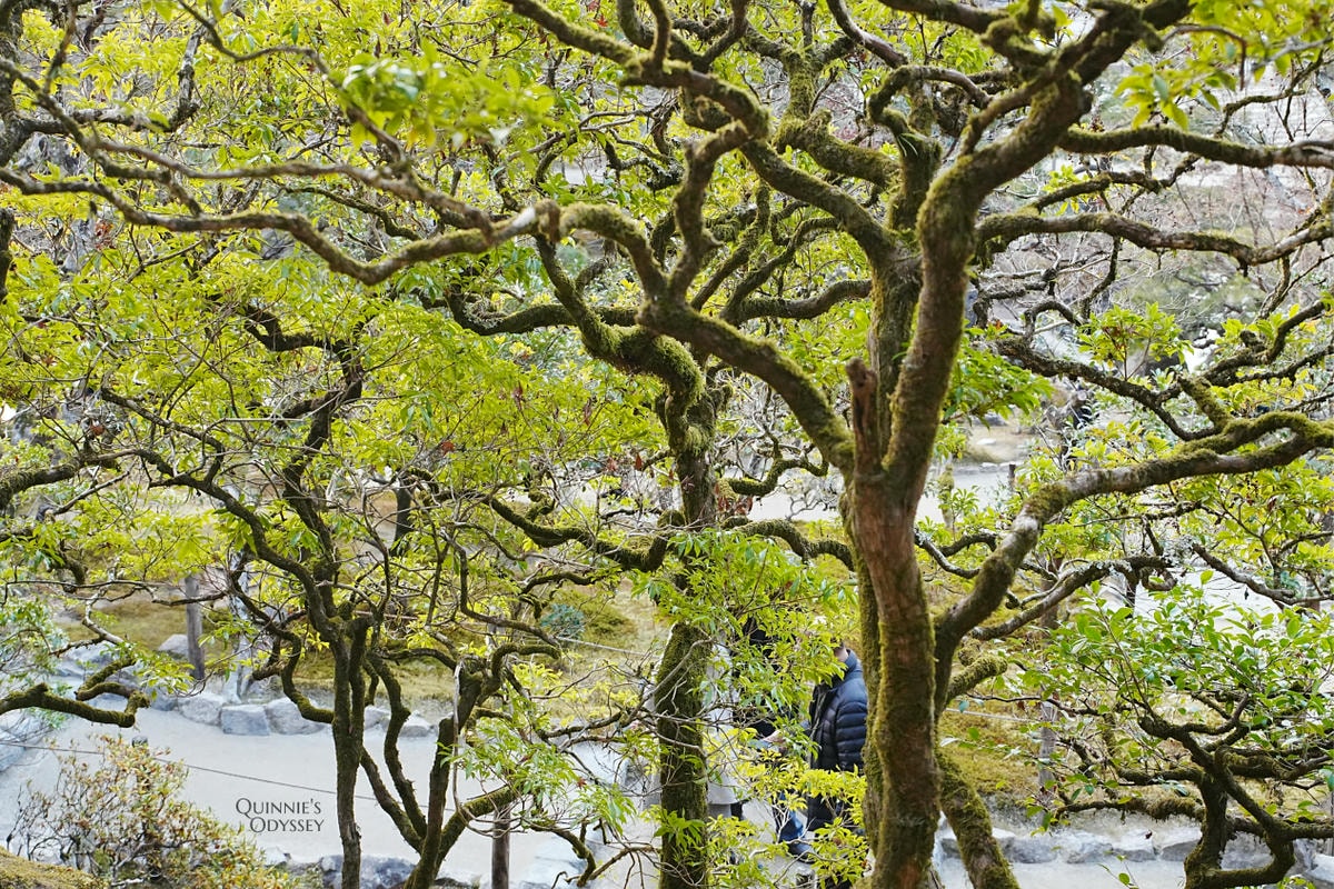 銀閣寺枯山水庭園、