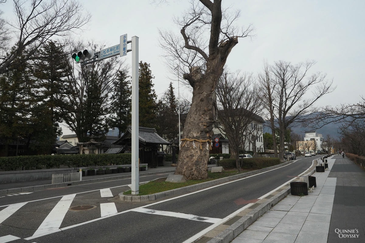 長野縣松本市一日遊行程:景點/交通/住宿/美食推薦 - 第6張圖 松本城