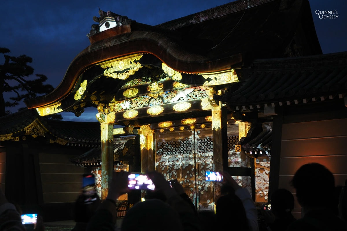 二條城 NAKED櫻花祭:2025夜櫻光雕秀門票/交通/必看亮點 - 第4張圖 京都二條城 櫻花祭 唐門 光雕投影