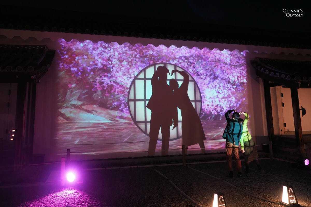 二條城 NAKED櫻花祭:2025夜櫻光雕秀門票/交通/必看亮點 - 第13張圖 京都二條城 櫻花祭 光雕投影