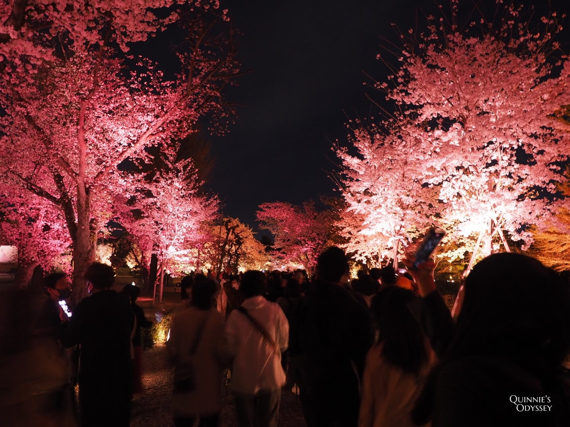 Nijo castle 17