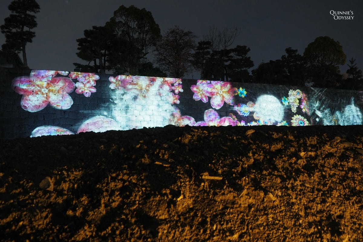 二條城 NAKED櫻花祭:2025夜櫻光雕秀門票/交通/必看亮點 - 第10張圖 京都二條城 櫻花祭 光雕投影